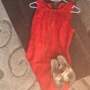 J crew factory spring pink lace dress